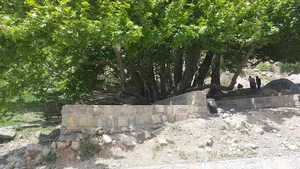کمپ چکان