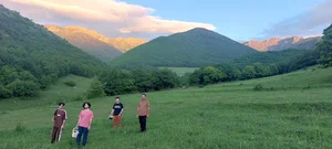 پارک جانبازان