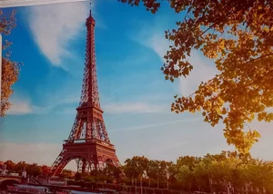 نصب کاغذ دیواری در مرزداران 4