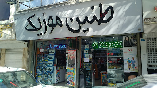 طنین