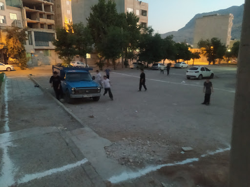 تیم کیو