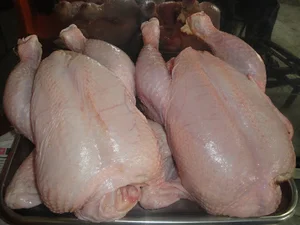سوپر مرغ و ماهی تاجیک