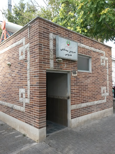 سرویس بهداشتی عمومی