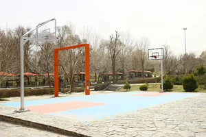 زمین بسکتبال