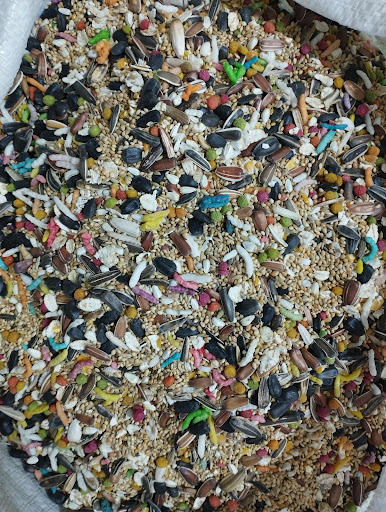 تکدانه البرز