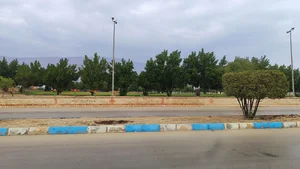 پارک بانوان 2