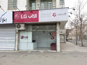 خدمات الجی