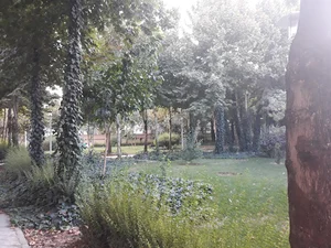 بوستان محمدی