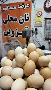 فرآورده های لبنی بهنام