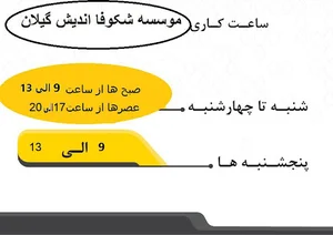 موسسه شکوفااندیش گیلان