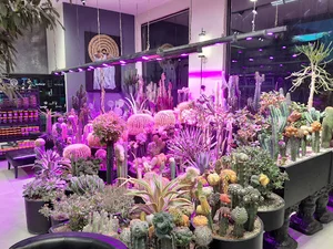 مزرعه و پرورش ماهی خسروی
