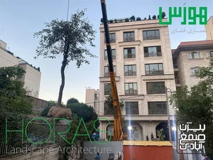 باغبانی و جابجایی درخت هورس 5