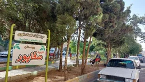 پارک صفاپور 3