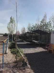 باشگاه سوارکاری توسن