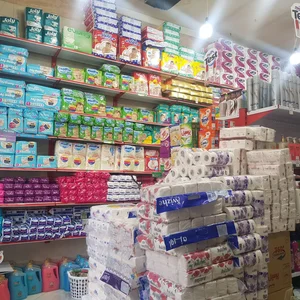 شوینده بهداشتی پاک لند پلاس 3