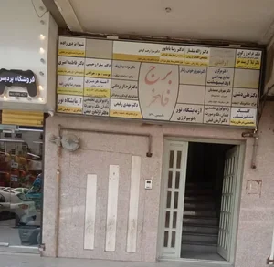 دکتر زهرا روشندل 4