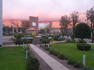 شرکت آریوژن فارمد