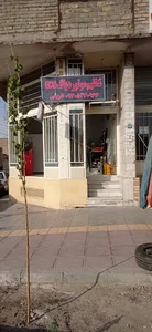 تنظیم موتور پیشرو(ecu)