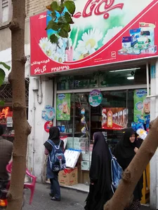 شوینده بهداشتی گل بانو