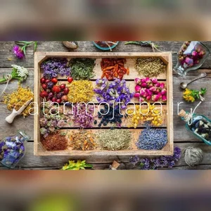 عطاری آنلاین مجتبی محقق 4