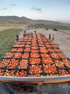 فلکه بسیج