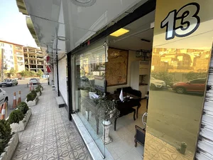 املاک علیزاده