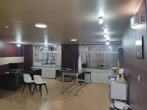 کلینیک دامپزشکی شبانه روزی پت لند 2