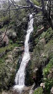 تفرجگاه آبشارگنبرف