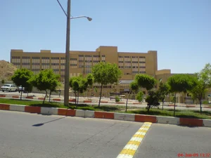 علی بخشیان