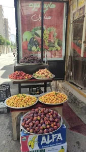 هایپر میوه همایون 3