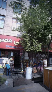 فروشگاه پلاستیک و بلوریجان ولیعصر(ع) 3