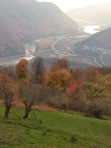 Babajan sera