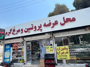 مرغ و پروتئین شهر 2