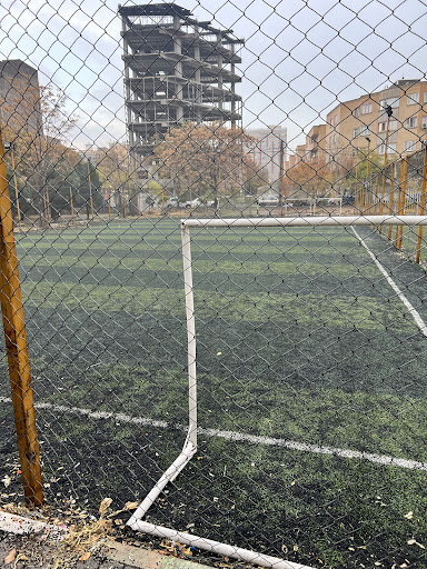چمن مصنوعی پارک امیرکبیر