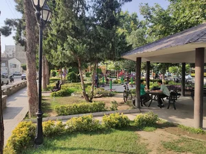 پارک شادی