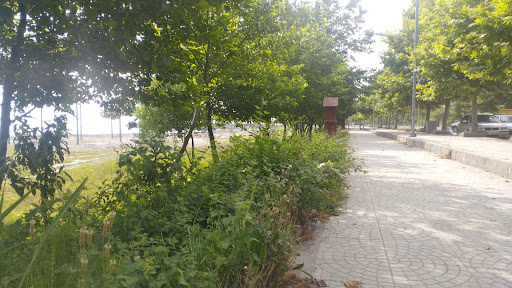 ساحل چالوس