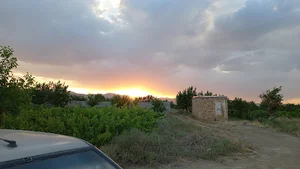 باغ سامیار
