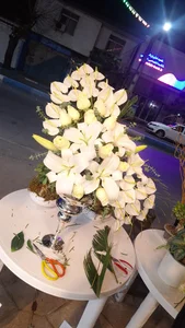 گلفروشی متانویا 3