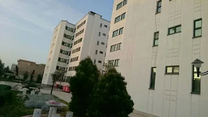 مجتمع اساتید دانشگاه