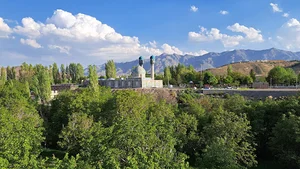 ساردوئیه