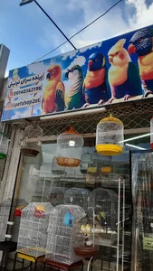پرنده سرای توییتی