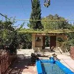 پیتزا آبتین