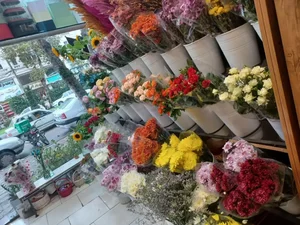 گل فروشی ویولت 3