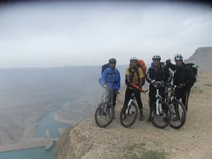 نخلستان بیت دیوان