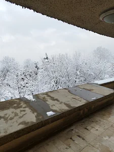 تالار صدف نیروی دریایی