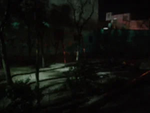 پارک ( فضای سبز کوچک)