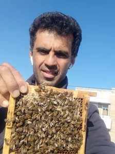 عسل دکتر زنبوری