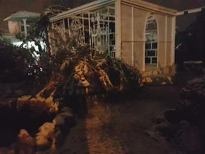 Fidel Garden