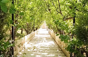 ابزارآلات اکبری نژاد