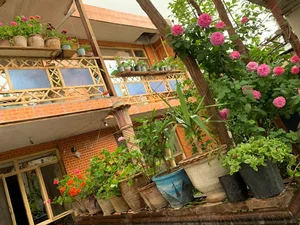 Nang shah homeخانه ننگیالی